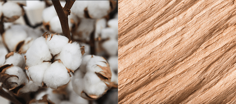 Qual a diferença entre modal e algodão egípcio? - Minimal Club